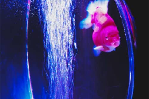 2023兔年公司起名字大全免费